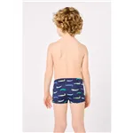 Boxer De Ysabel Mora