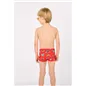 Boxer De Ysabel Mora