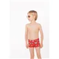 Boxer De Ysabel Mora