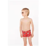 Boxer De Ysabel Mora
