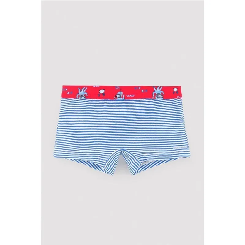 Boxer De Ysabel Mora