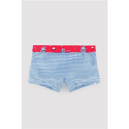 Boxer De Ysabel Mora