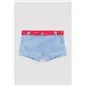Boxer De Ysabel Mora