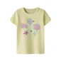 Camiseta De Name It