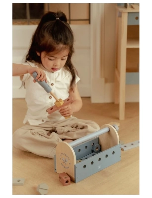 Caja de Herramientas de Little Dutch