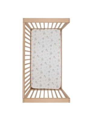 Pack 2 bajeras Globe de Cambrass