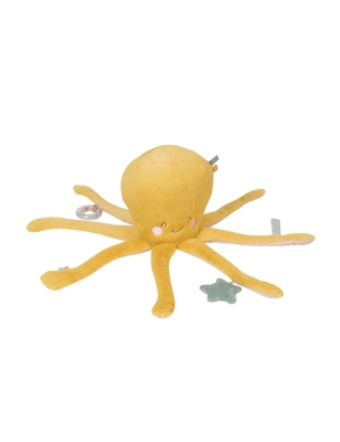 Pulpo Multiactividades de Saro