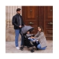 Silla Paseo Street de MS