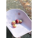 Carretilla Fairy Garden de Little Dutch