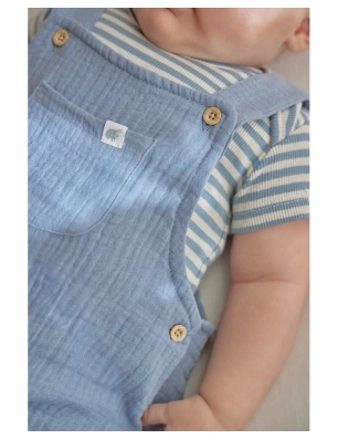 Body manga corta Stripe de Little Dutch