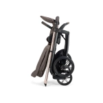 Cochecito 3 piezas Inglesina Aptica con Darwin Recline