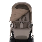 Cochecito 3 piezas Inglesina Aptica con Darwin Recline