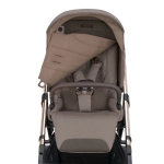 Cochecito 3 piezas Inglesina Aptica con Darwin Recline