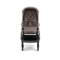 Cochecito 3 piezas Inglesina Aptica con Darwin Recline