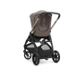 Cochecito 3 piezas Inglesina Aptica con Darwin Recline