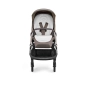 Cochecito 3 piezas Inglesina Aptica con Darwin Recline