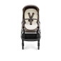 Cochecito 3 piezas Inglesina Aptica con Darwin Recline
