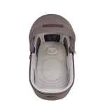 Cochecito 3 piezas Inglesina Aptica con Darwin Recline