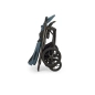 Cochecito 3 piezas Inglesina Aptica XT Darwin Recline