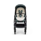 Cochecito 3 piezas Inglesina Aptica XT Darwin Recline