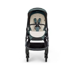 Cochecito 3 piezas Inglesina Aptica XT Darwin Recline