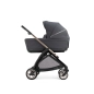 Cochecito 3 piezas Inglesina Electa con Darwin Recline