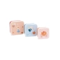 Pack 3 cajas de almuerzo Mouse Fairies de Tutete