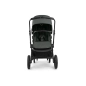 Bugaboo Cub Cochecito