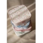 Caja Bento Grande Fairy Wonders de Mepal