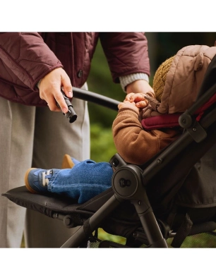 Silla de Paseo Grande 2 de Kinderkraft
