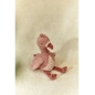 Flamenco 17cm Safari Friends de Little Dutch