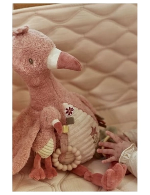 Flamenco actividades Safari Friends de Little Dutch