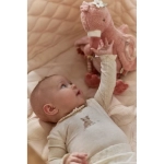 Flamenco actividades Safari Friends de Little Dutch