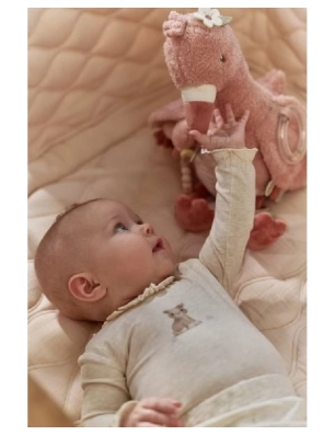 Flamenco actividades Safari Friends de Little Dutch