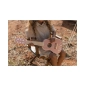 Guitarra Madera Safari Friends de Little Dutch