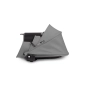 YOYO bassinet Babyzen