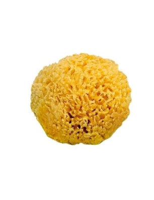 Esponja Natural de Saro