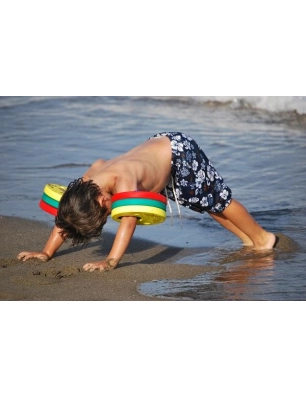 Manguitos de Disco Delphin