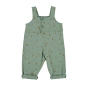 Mono Largo Apple Verde Baby Clic