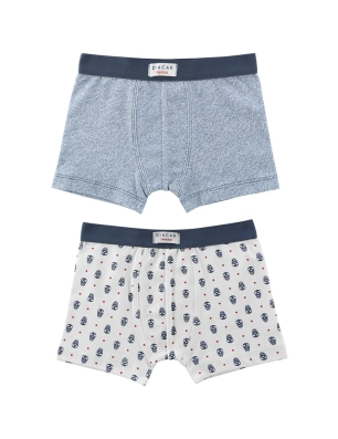 Pack 2 Boxer D330 Diacar