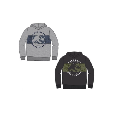 Sudadera Capucha Jurassic World Franja Central Sun City