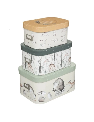 Caja Almacenamiento Bosque de Atmosphera Colección