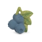 Mordedor Jerry the Blueberry de Oli and Carol