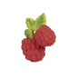 Mordedor Valery the Raspberry de Oli and Carol