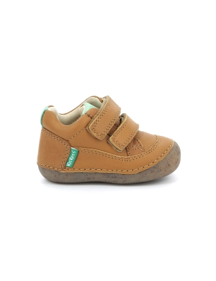 Sostankro Botín Kickers