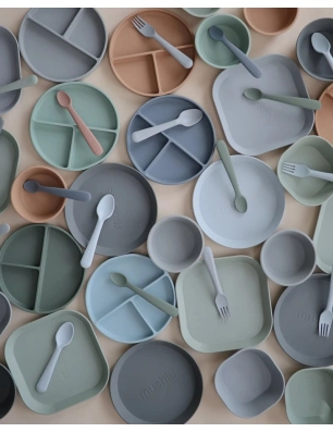 Bol de Silicona con Ventosa Mushie