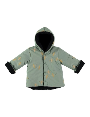 Chaqueta Acol. Dream Babyclic