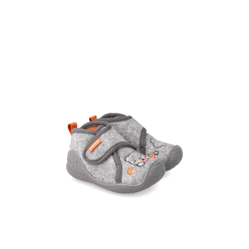 Biohome Tiw Biomecanics