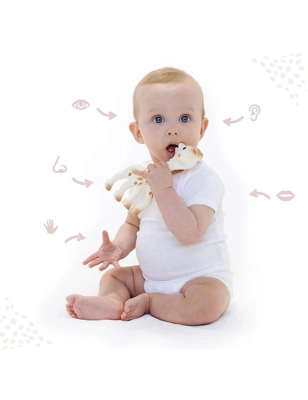 Pack Regalo Sophie La Girafe y Anillo de Dentición