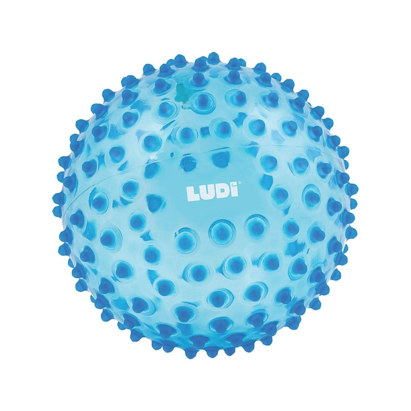 Pelota Sensorial de Ludi Pelota Sensorial de Ludi